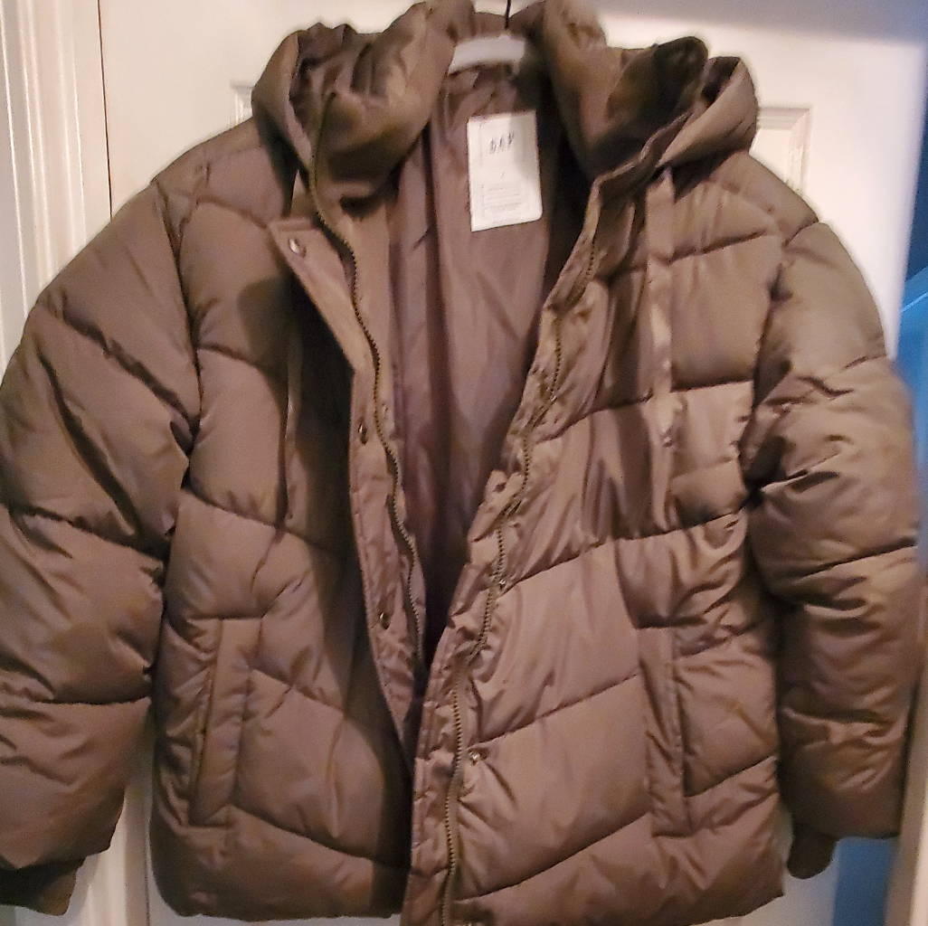 Gap Puffy Jacket
